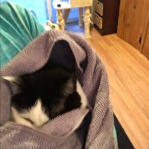 Meet your Posher, Hillary